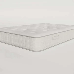 Backcare 2000 Mattress